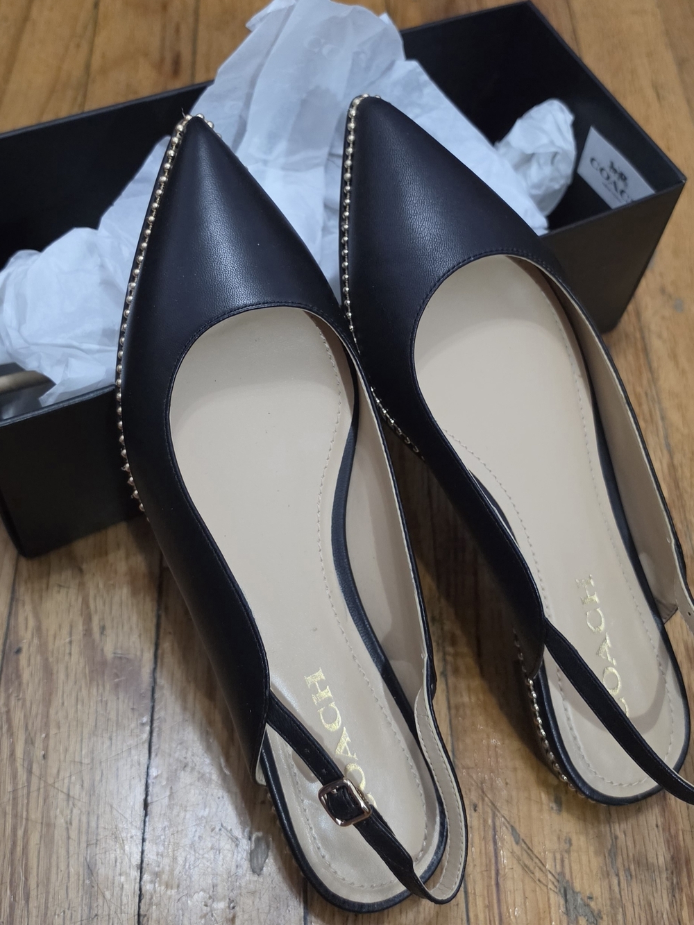 Coach Vae Leather Pointed Toe Slingback Flats in Black - Picture 6 of 7